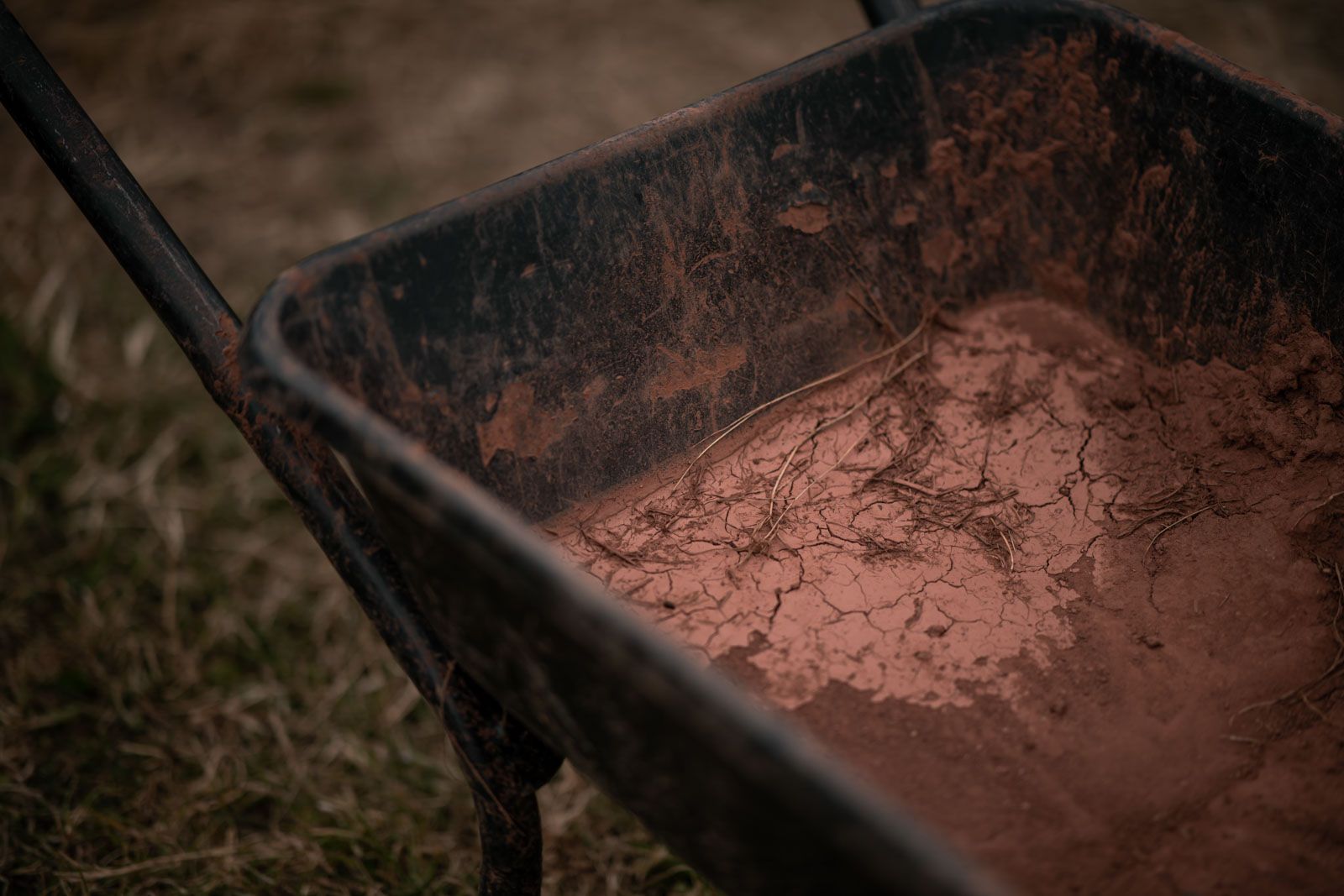 Roo Fowler Dog's Life Brendan Fairclough