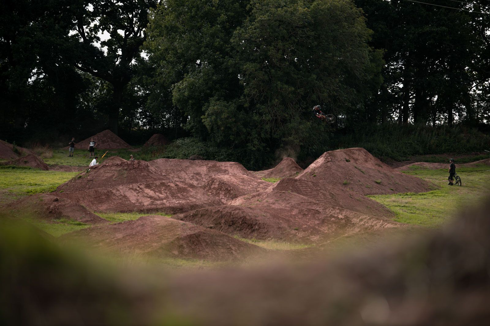 Roo Fowler Dog's Life Brendan Fairclough