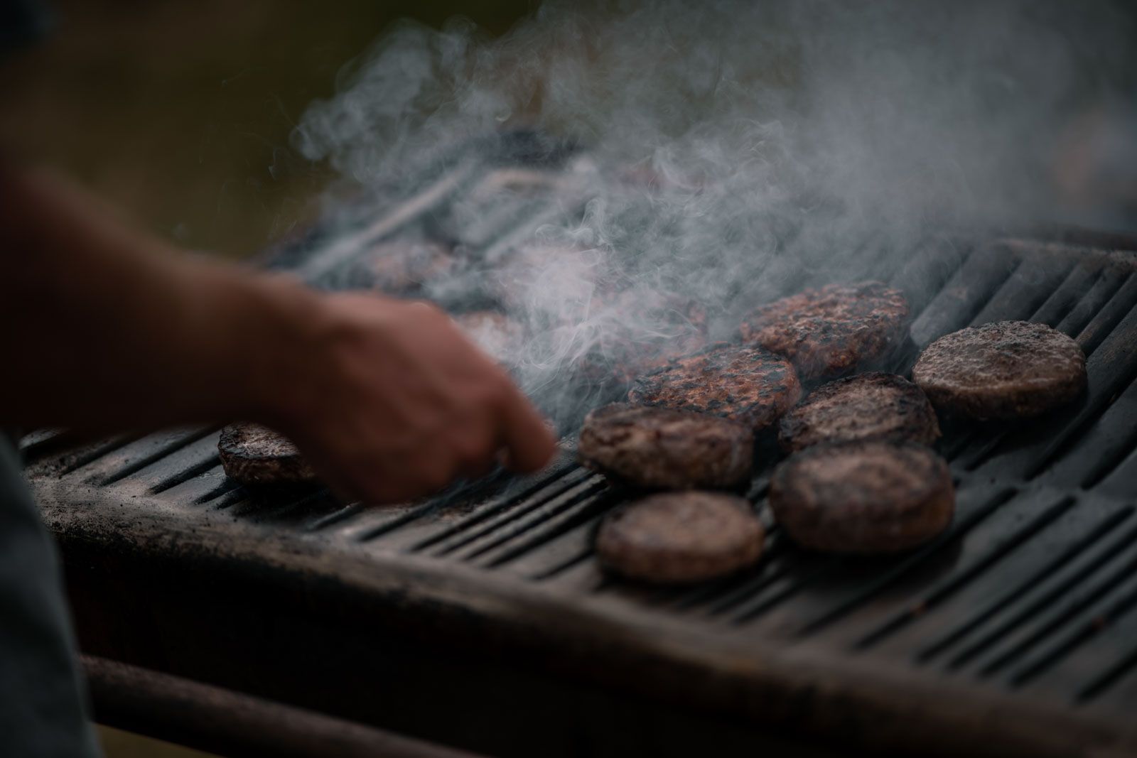 Roo Fowler Dog's Life Brendan Fairclough