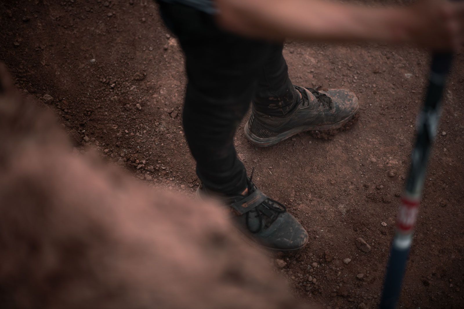 Roo Fowler Dog's Life Brendan Fairclough