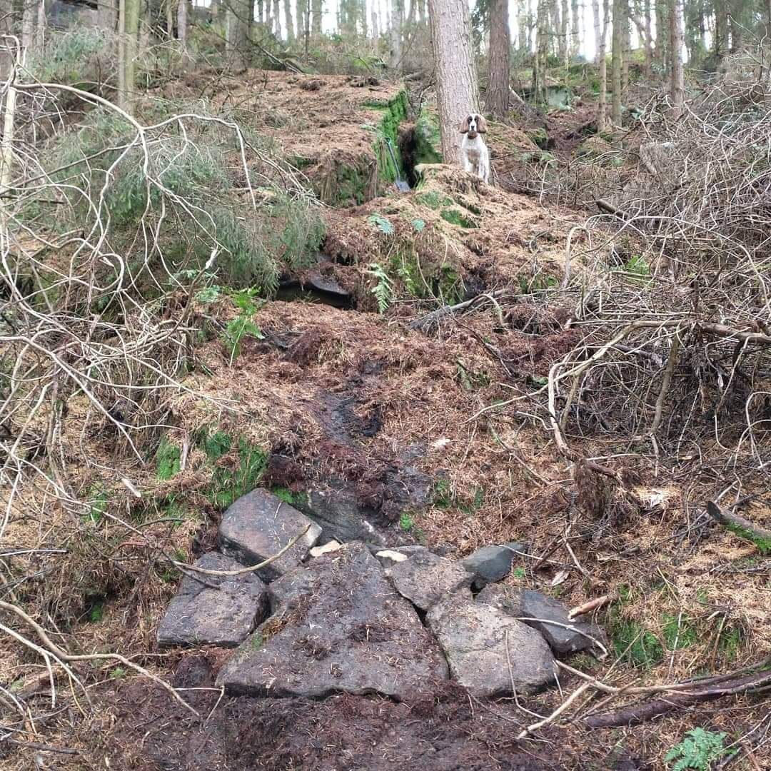 building illegal trails trail building