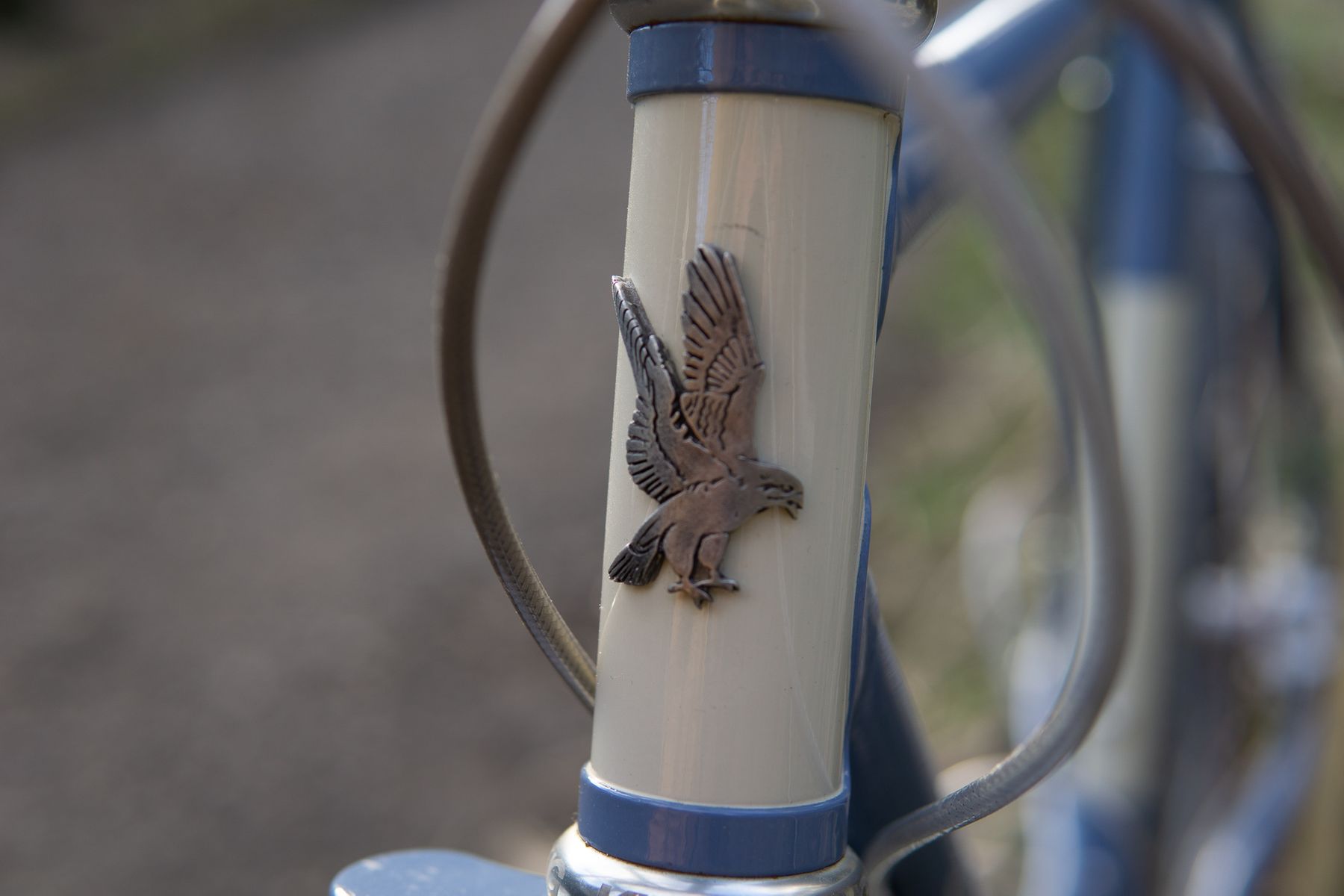 Singular Peregrine head badge