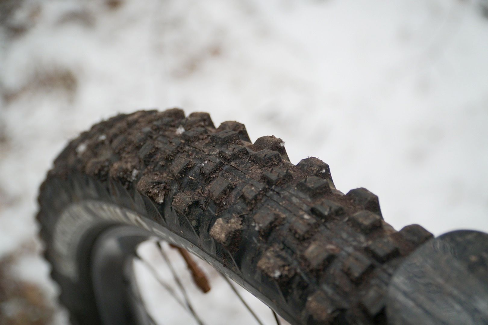 Michelin Wild Enduro Tyre Review