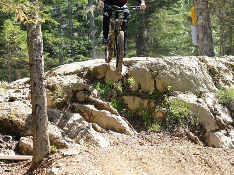 Dropping In: Short Stuff You Should Know