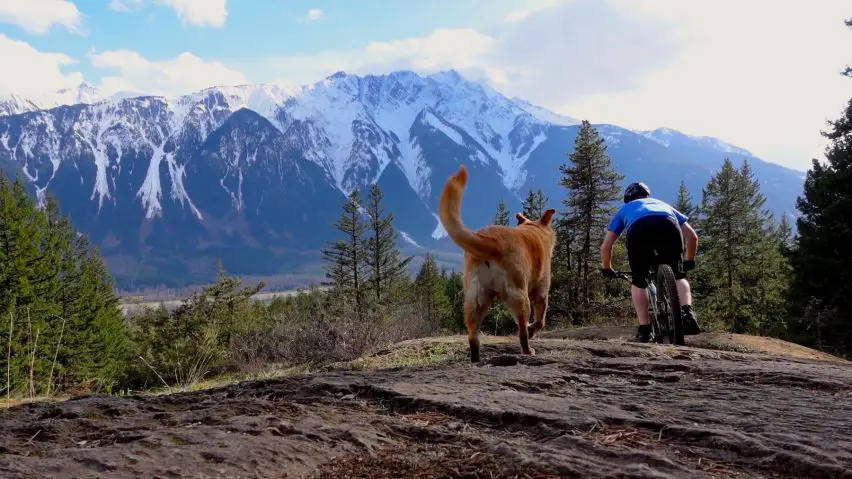 whistler diaries chris eyres mount currie pemberton cream puff