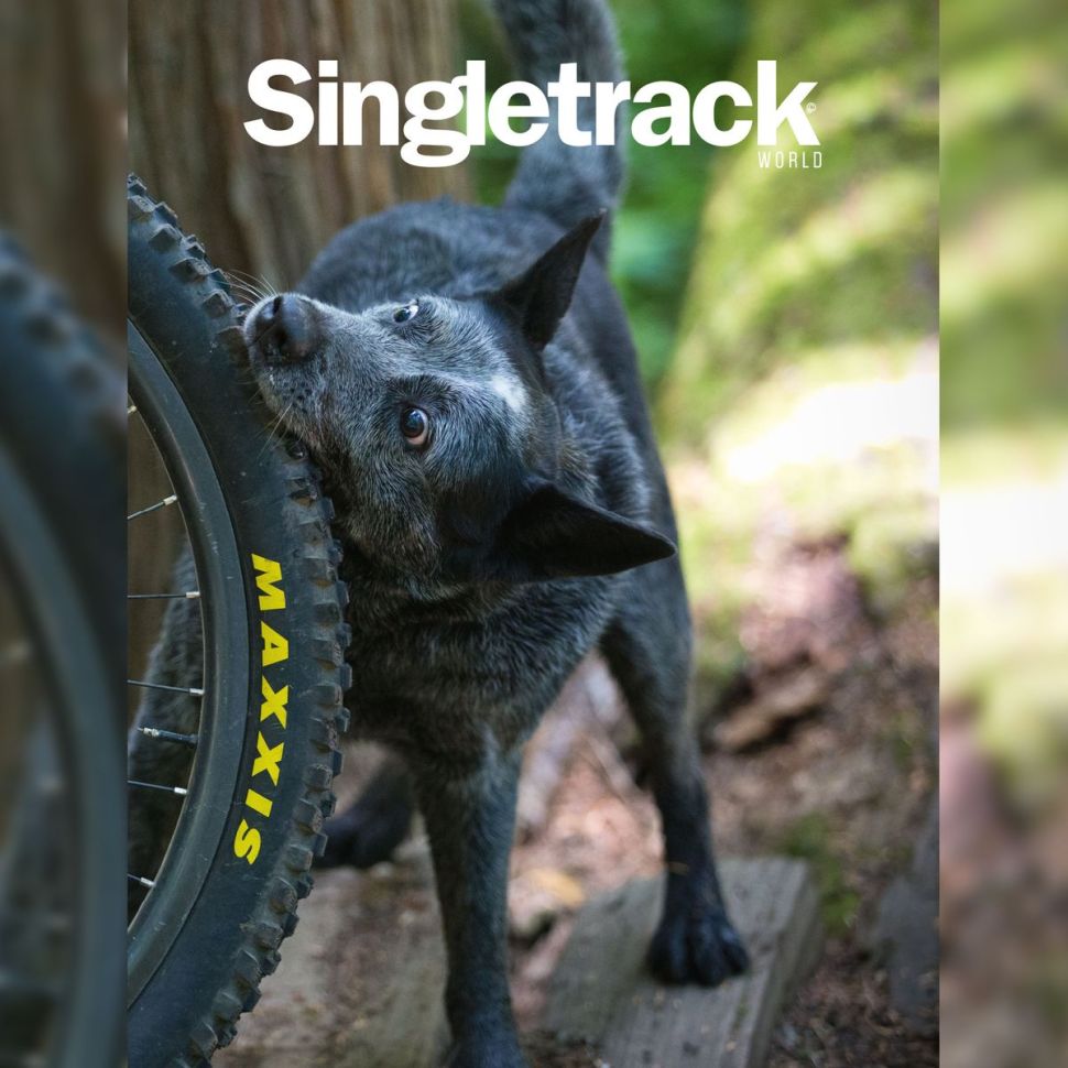 singletrack issue 137