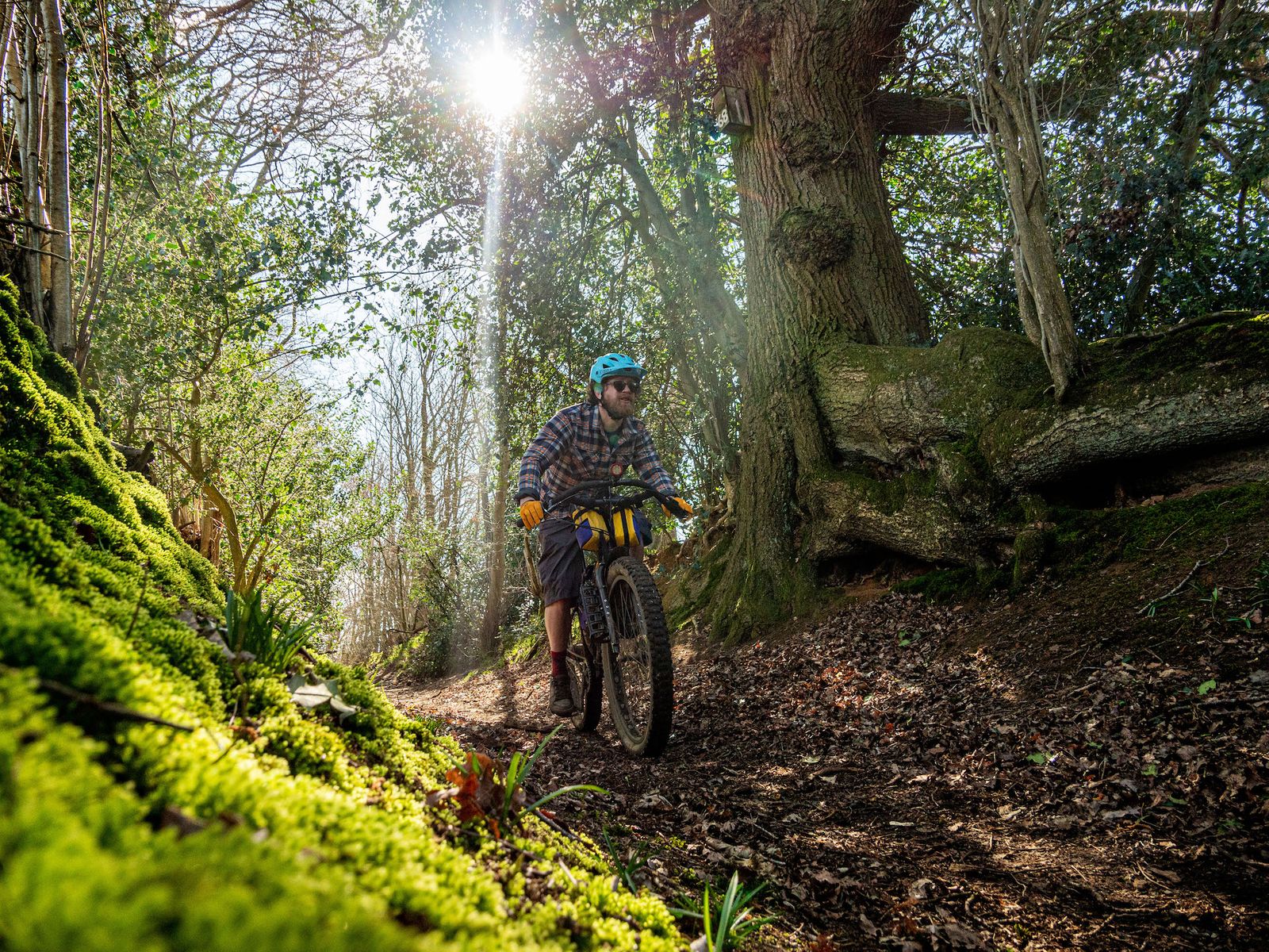 surrey hills ride classic komoot singletrackworld