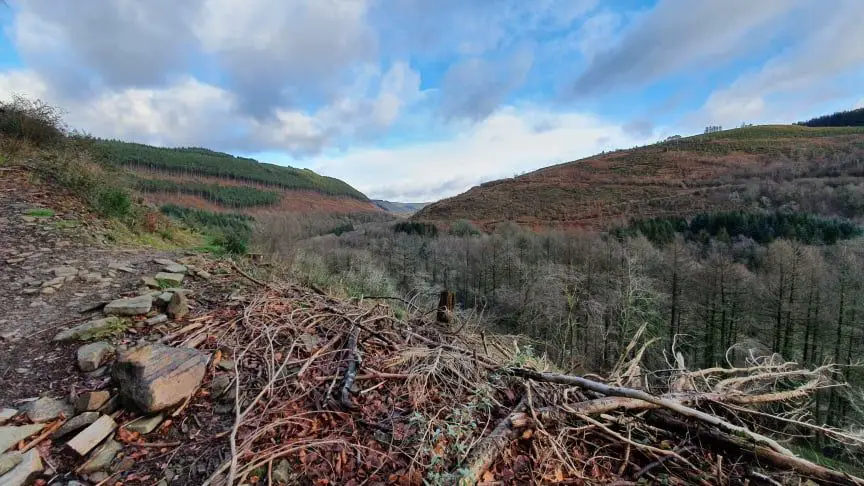 Afan Forest Park