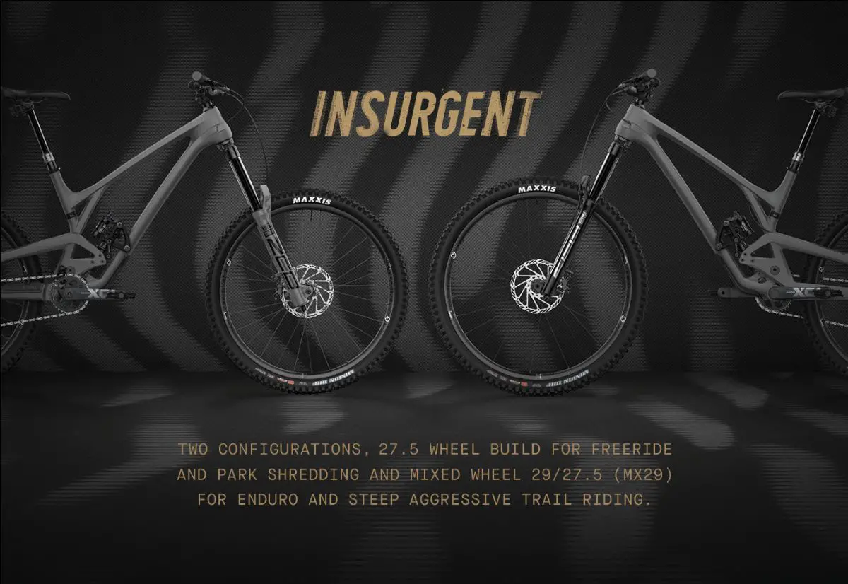 Evil Insurgent 2021