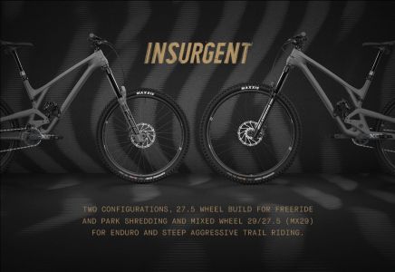 Evil Insurgent 2021