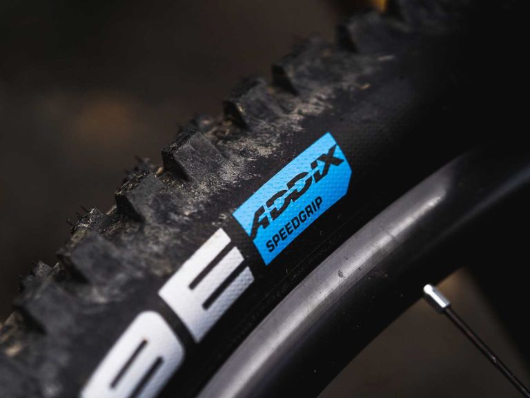 Schwalbe Wicked Will Tyre – All Round Fast Trail Rubber