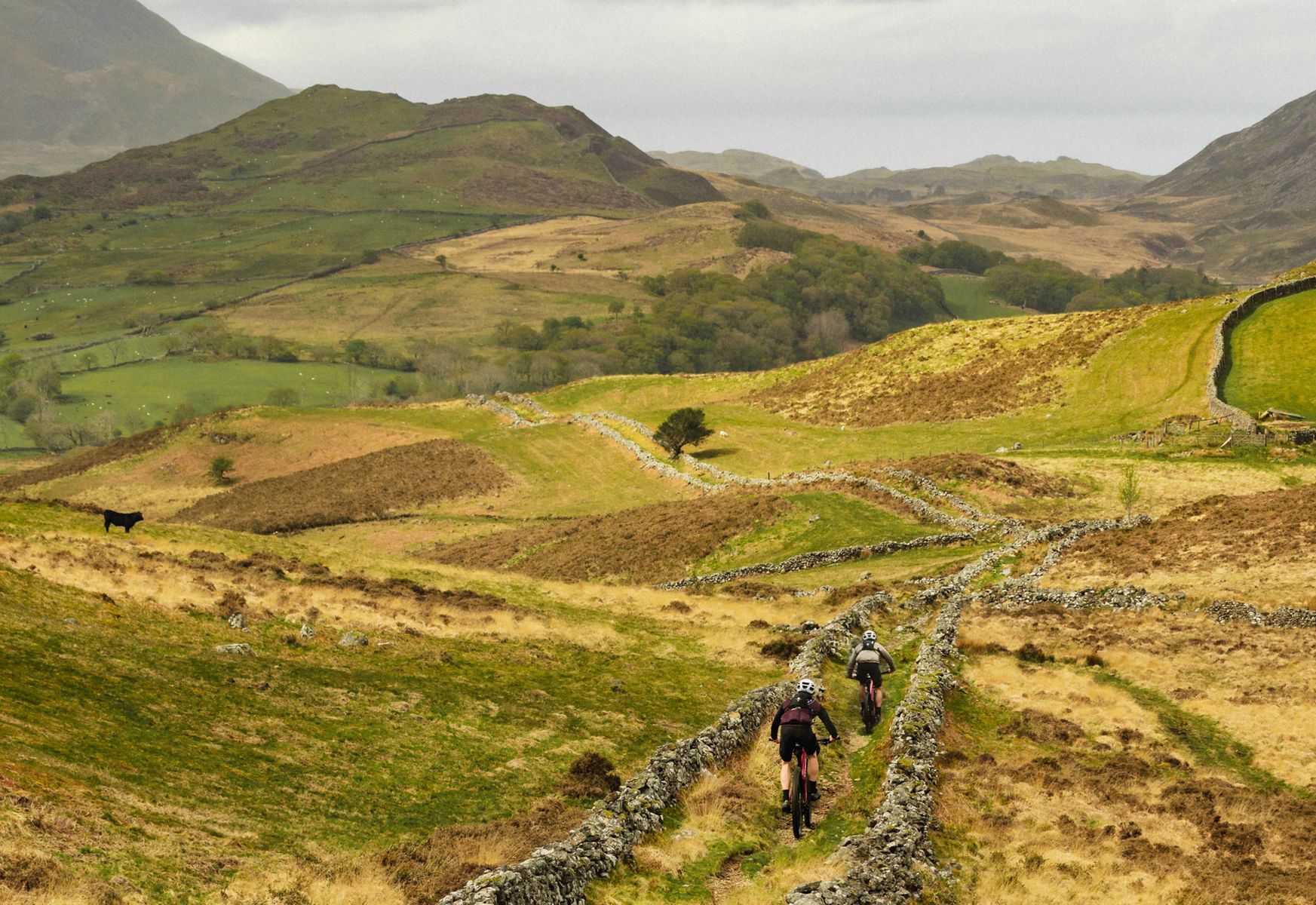 Cymru MTB Classic