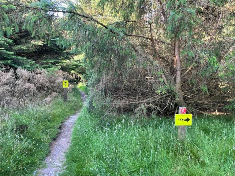 Manx 100 Cancelled Due to Route Sabotage