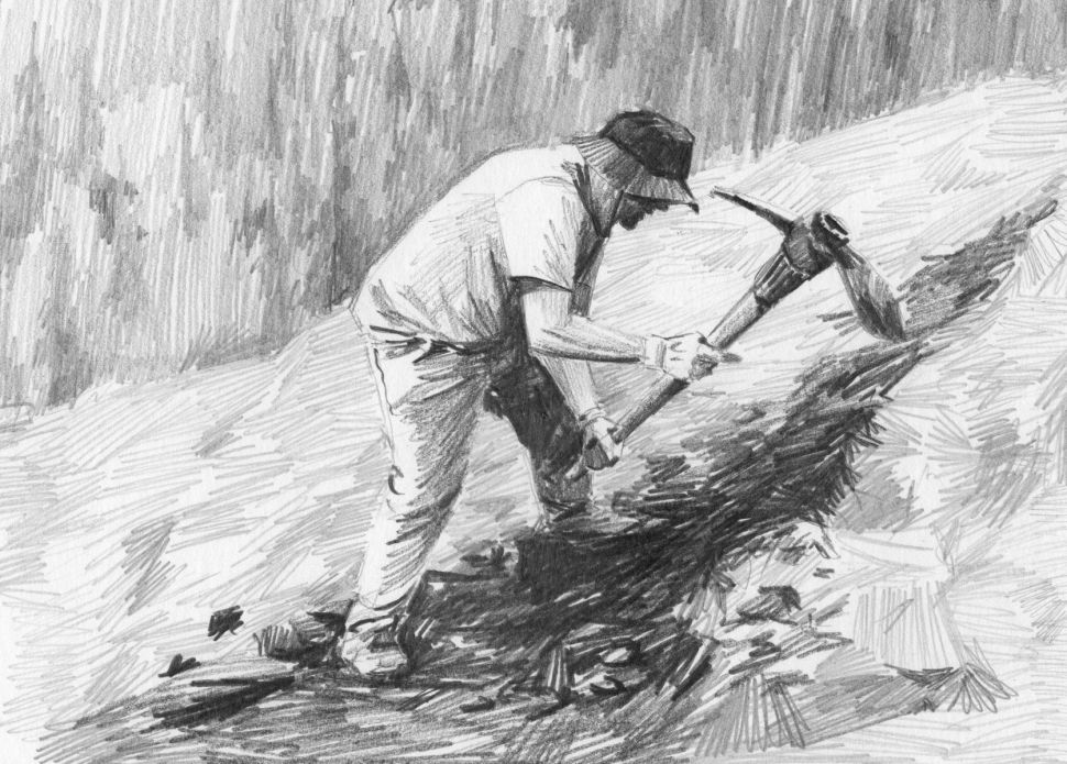 Adam McCoy Anders Engberg