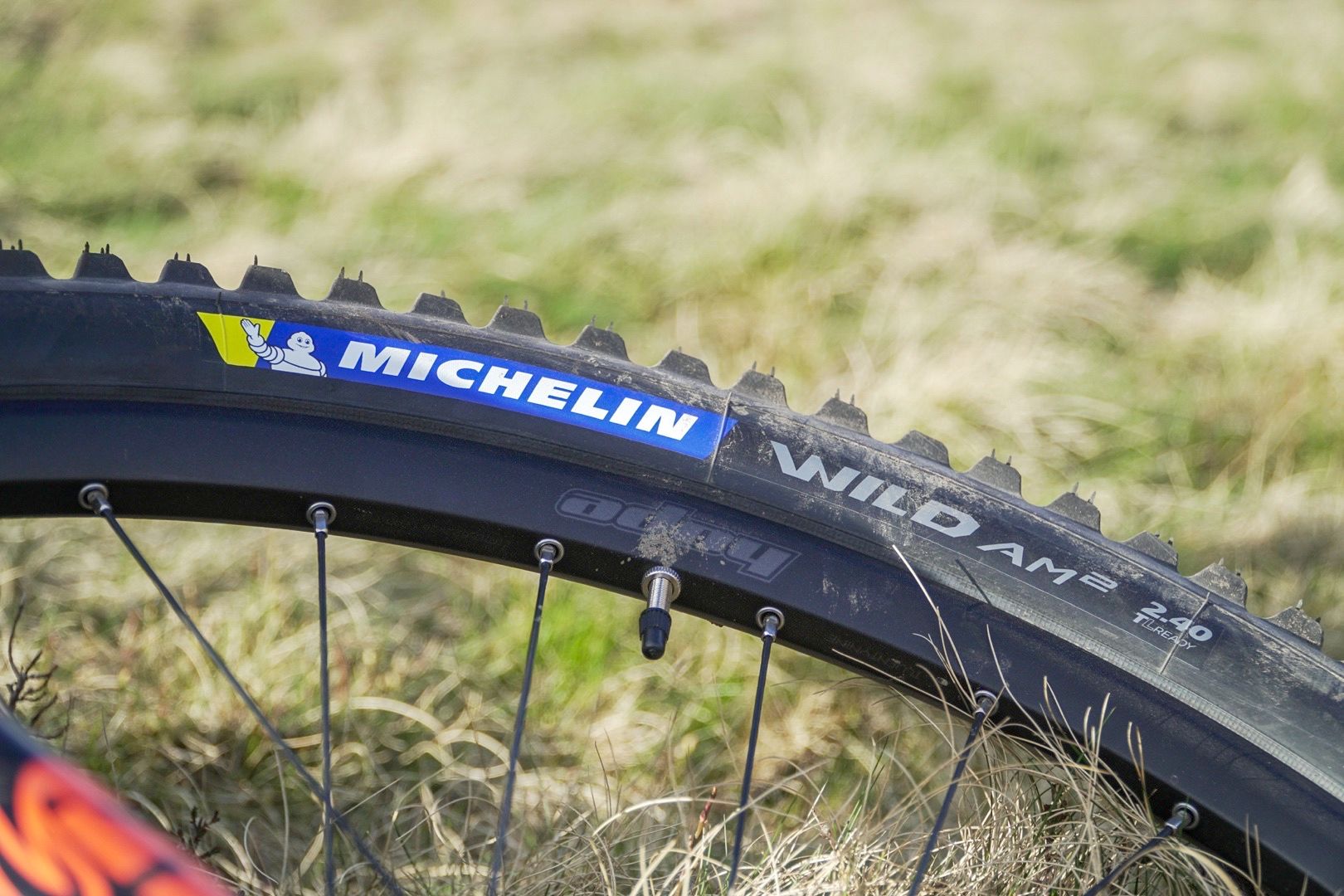 michelin wild am review