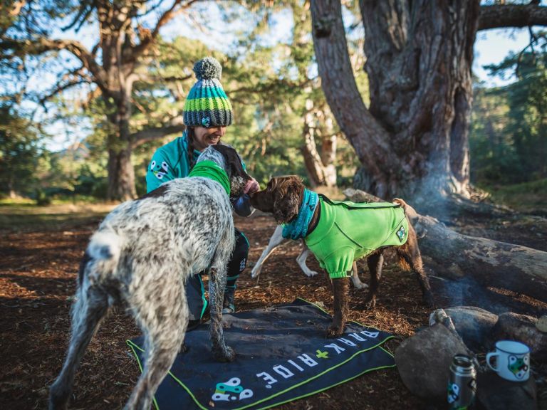 Talking Trail Dogs with Bark and Ride
