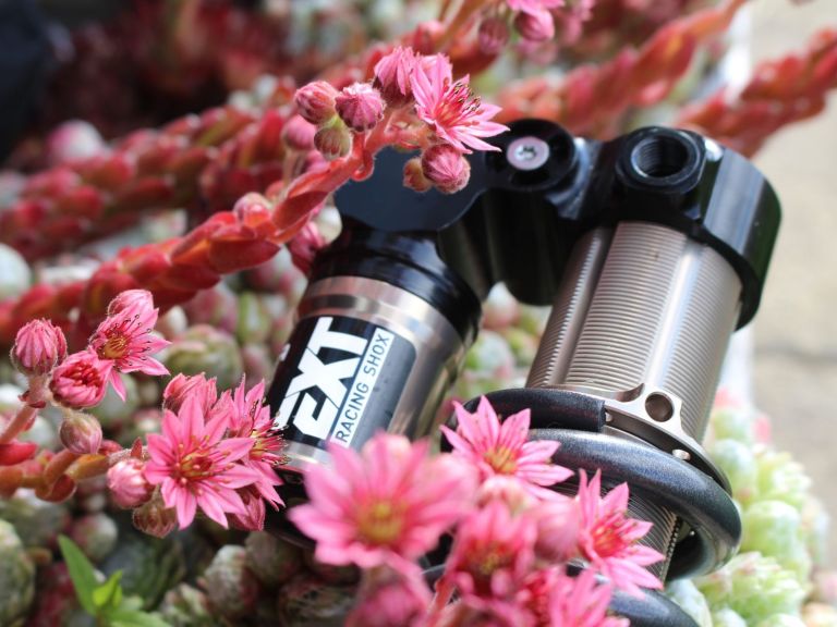 Fresh Goods Friday 557 – The One With A Rhino, a Wolf and an Elephant