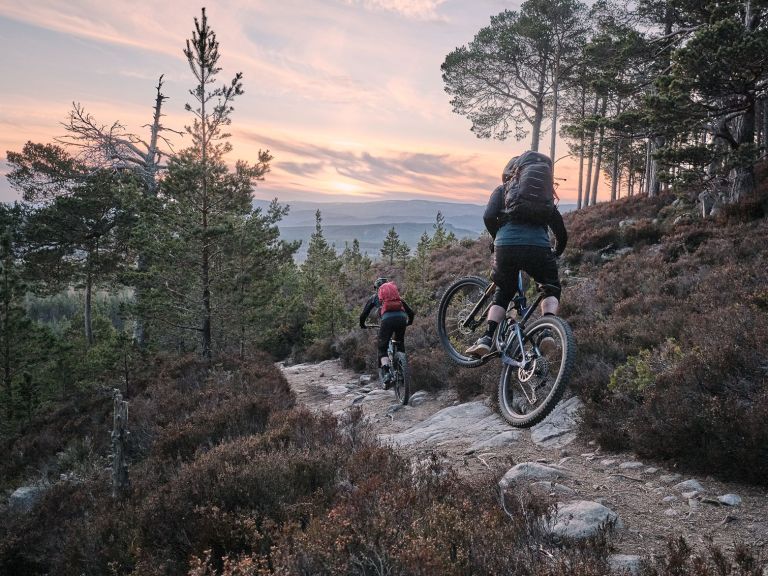 Saving Scotland’s Forests: Among Green Soldiers