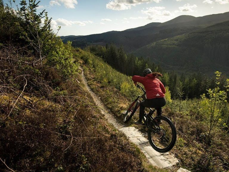 Get to Know More about Vero Sandler