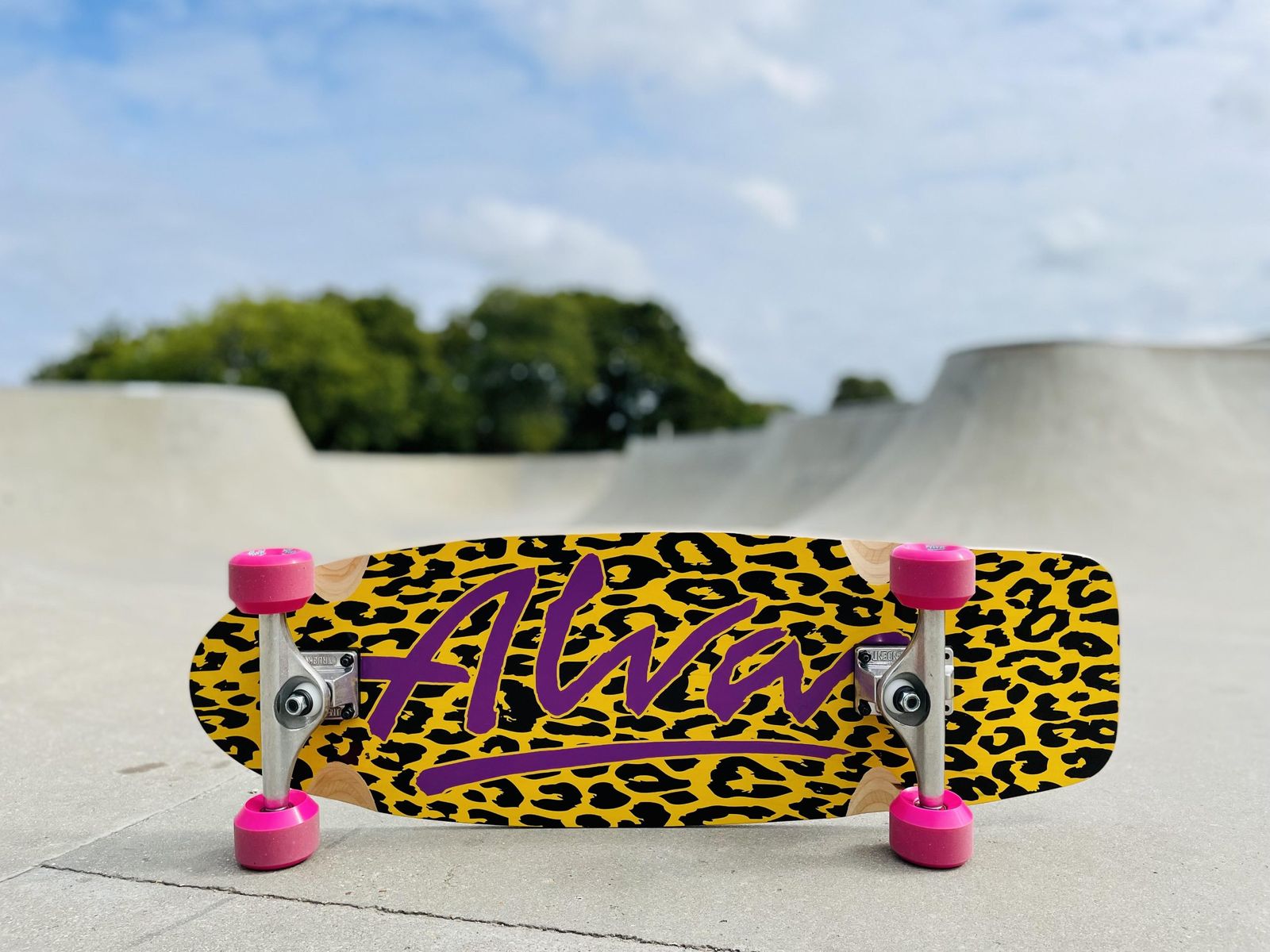 alva 1979 skateboard