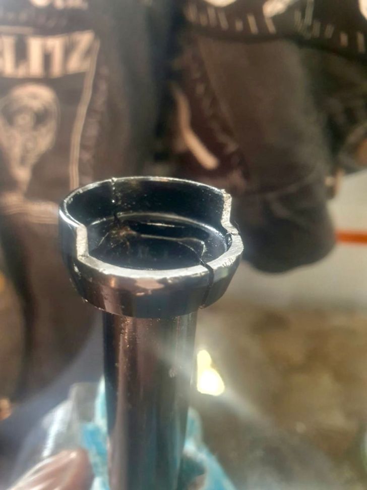 Back From The Dead Maxle