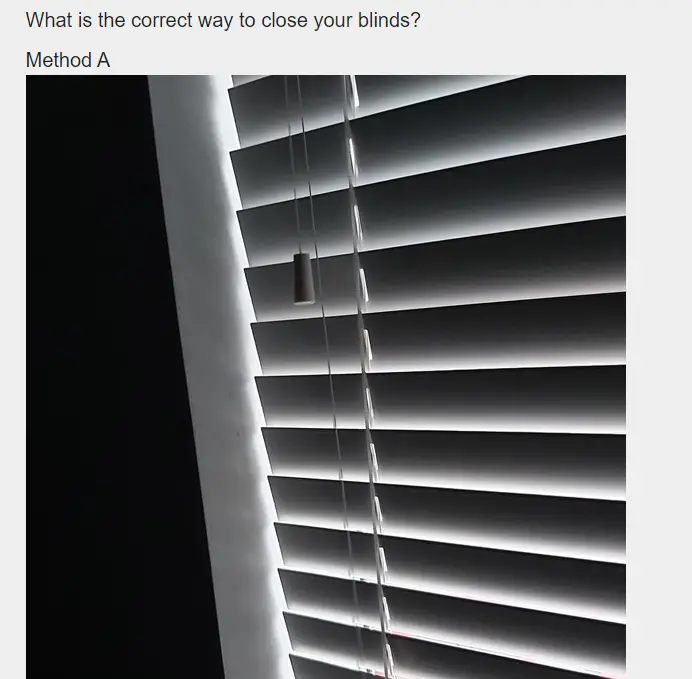 forum blinds