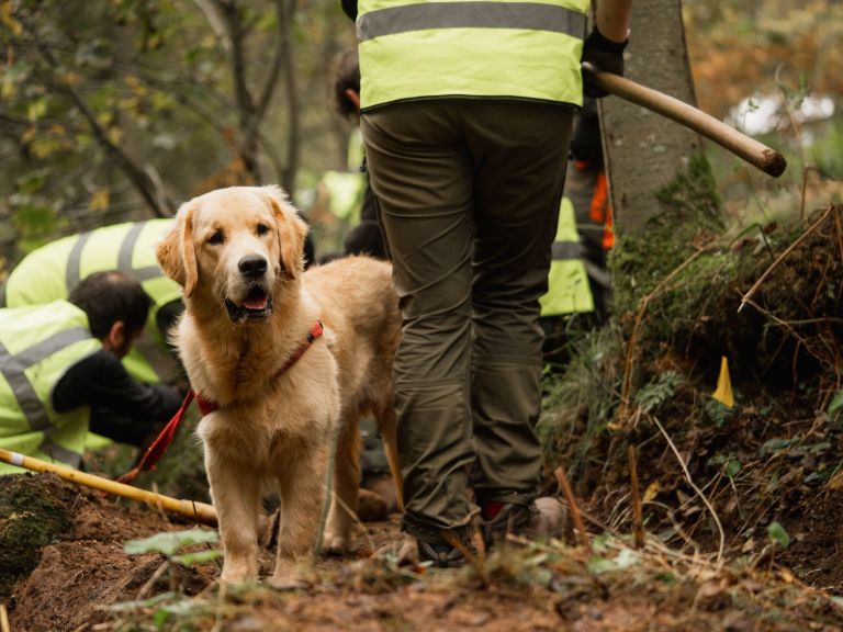 Coming together for the future of our trails | The Scottish Mountain Bike Trail Summit 2021