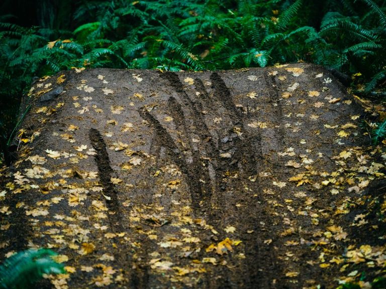 Playing In The Woods – Who does it better?