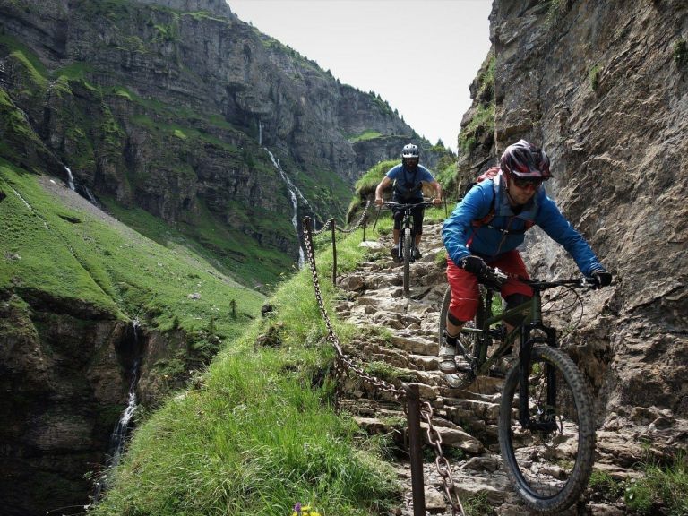 Cotic Bikes Release Mullet Option