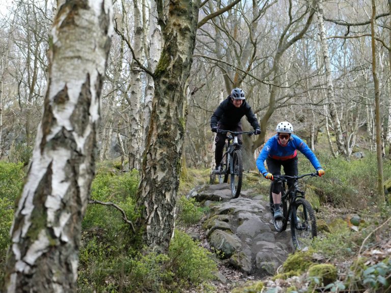 Bike Test: 3 Hardtails For Trails