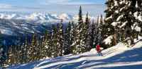 blackcombe whistler singletrack snow