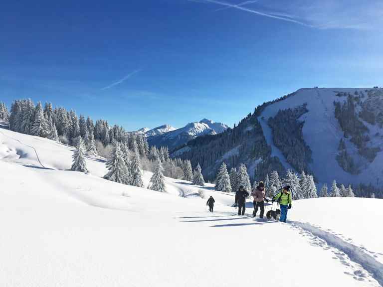 Snowshoeing | An introduction from the slopes of Morzine