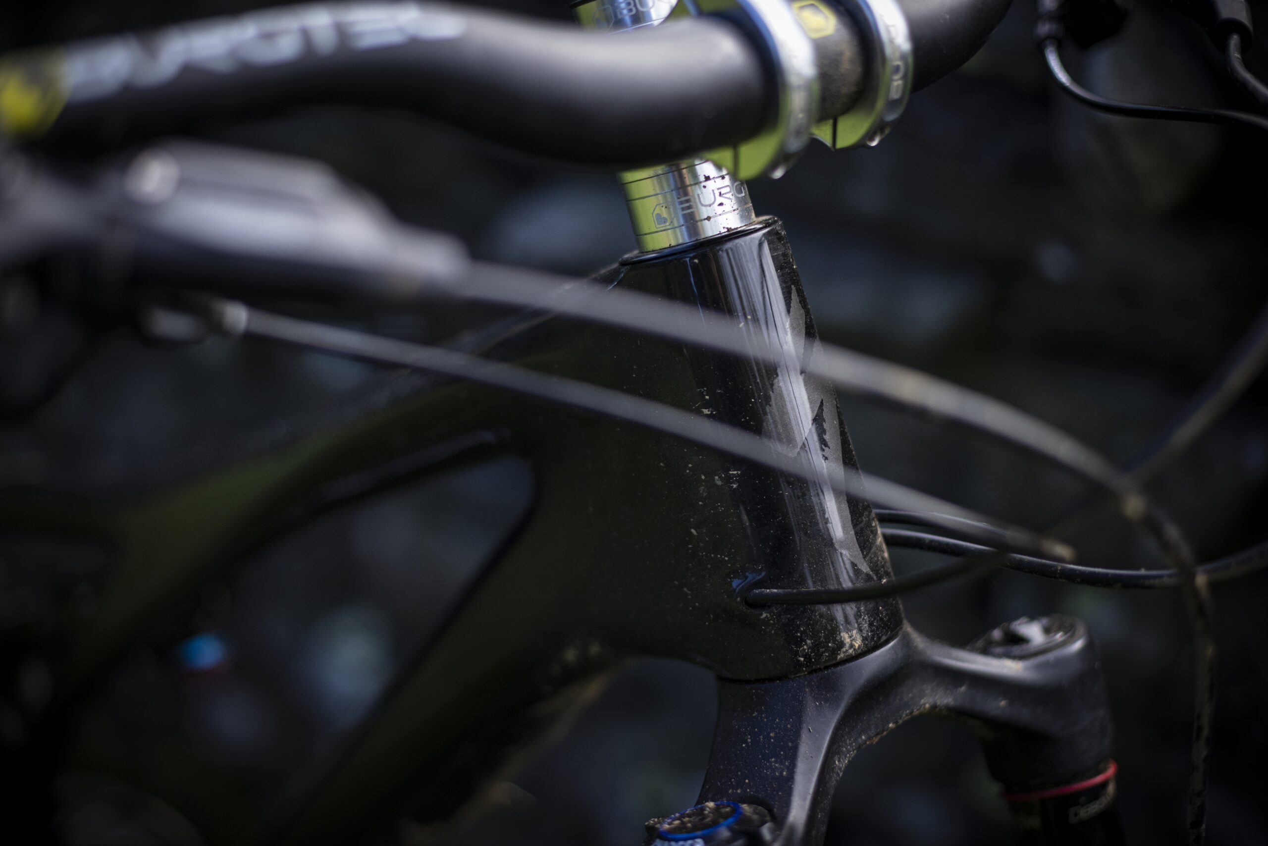 Specialized confirm direct sales option