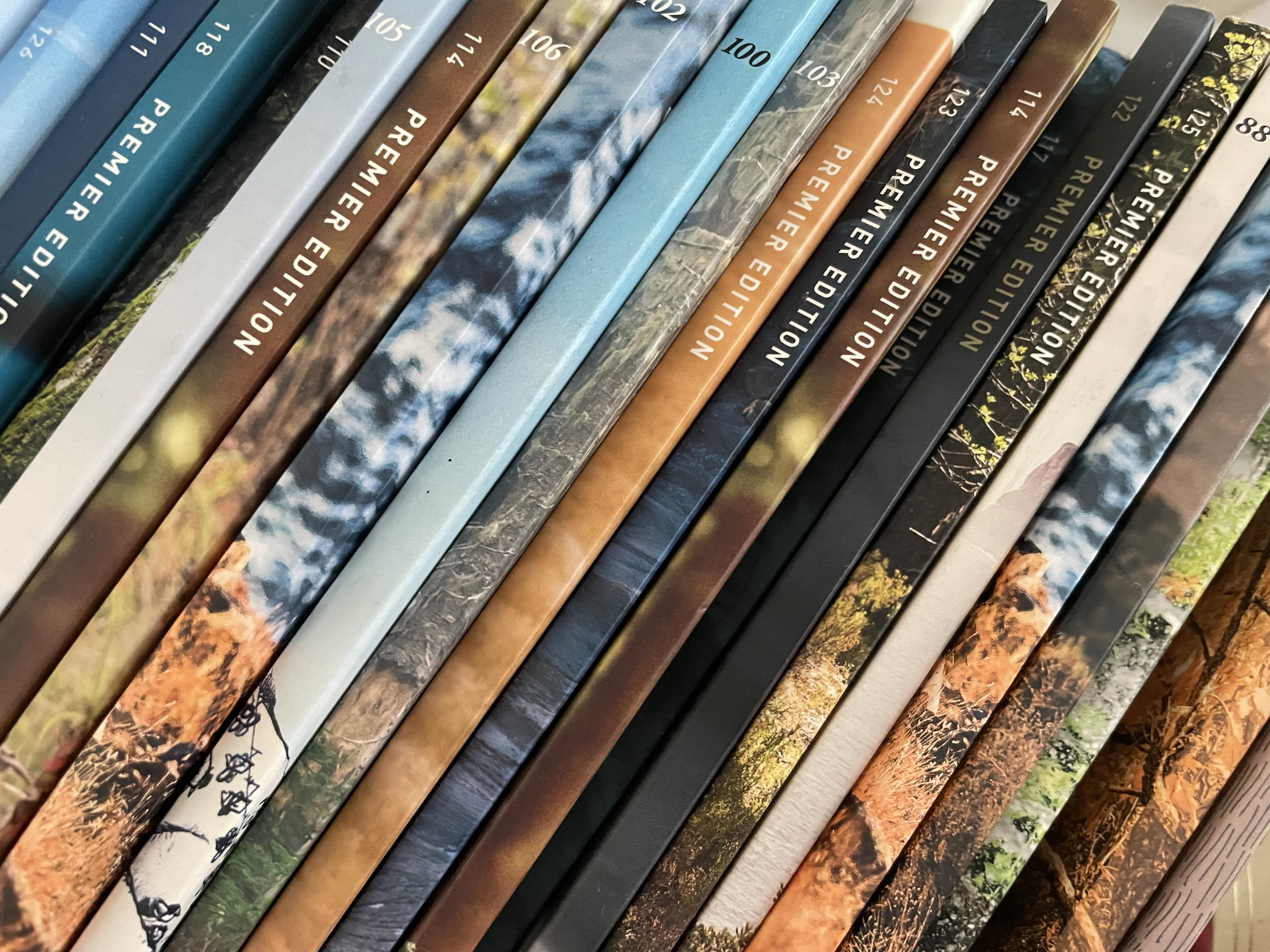 mountain bike magazine for women