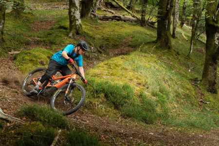 2020 orbea wild fs review