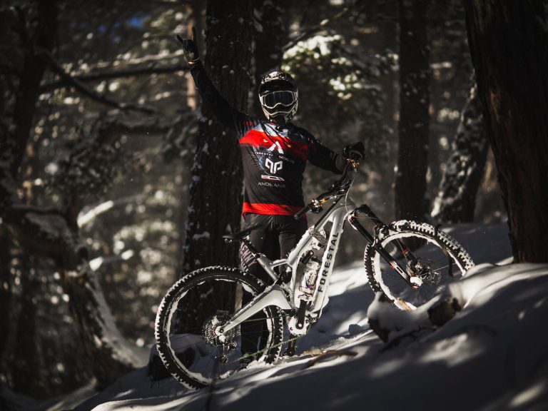 Silverfish to distribute Forestal Bikes