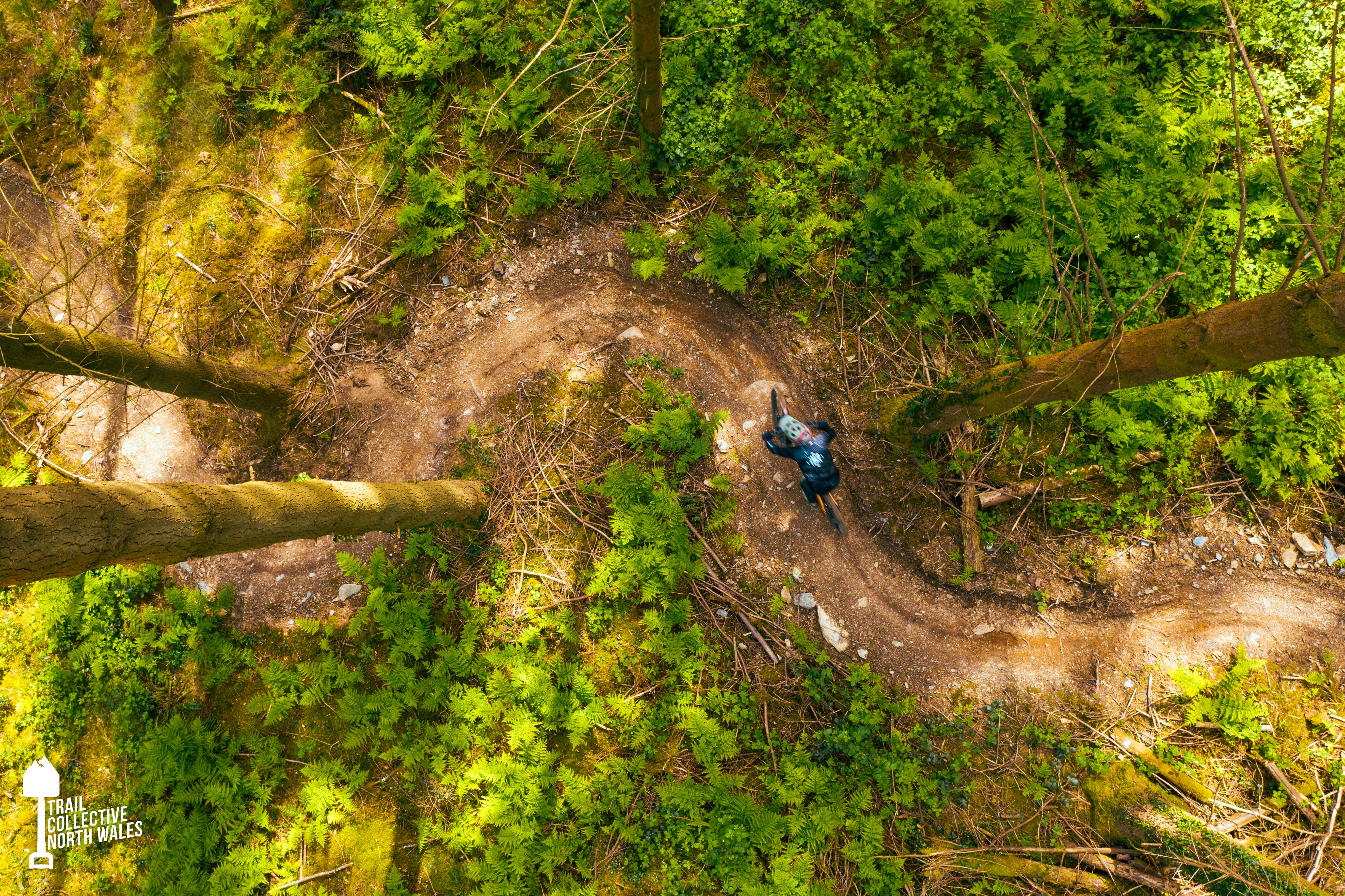 Trail Collective North Wales