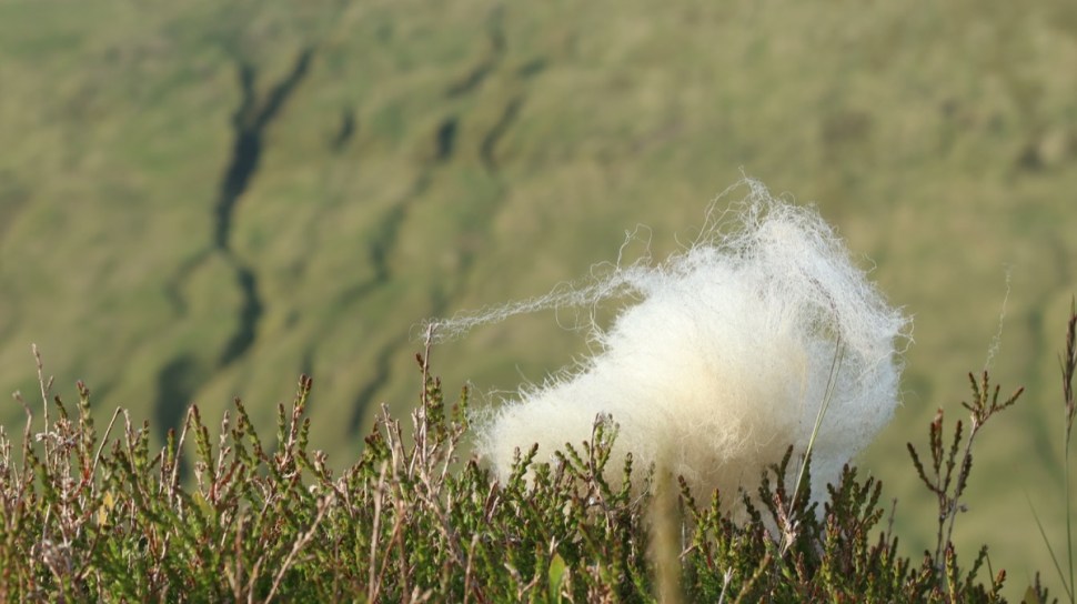 Markus Stitz Perthshire Gravel