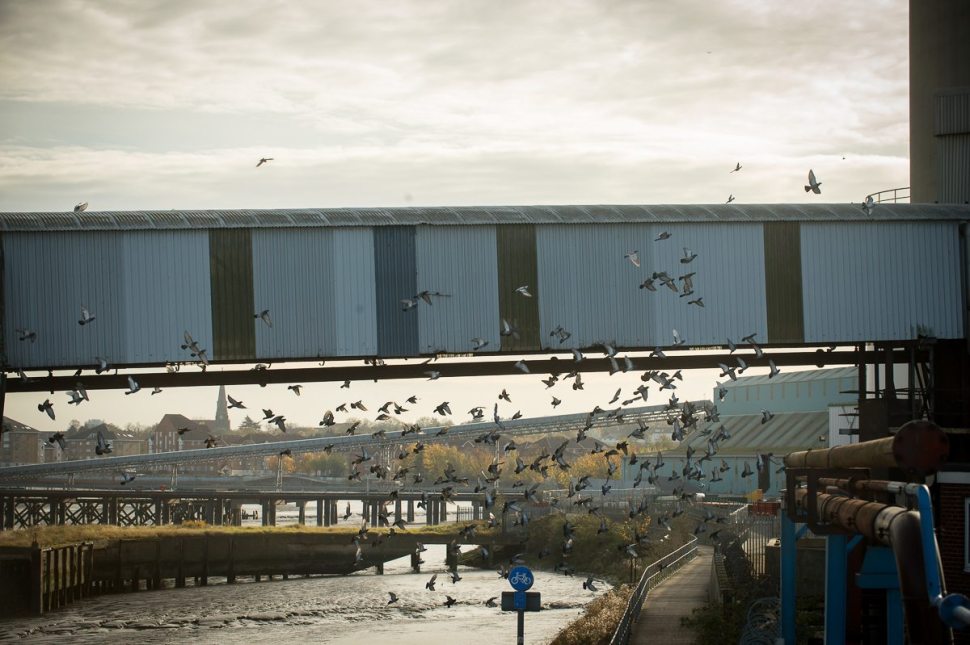riding along the river thames gritcx magazine