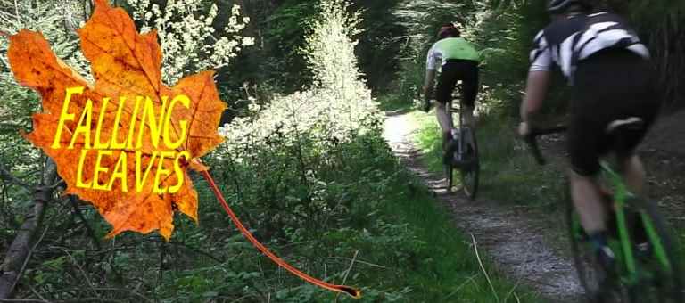 Grabs some autumnal gravel fun with the Falling Leaves Rough Ride