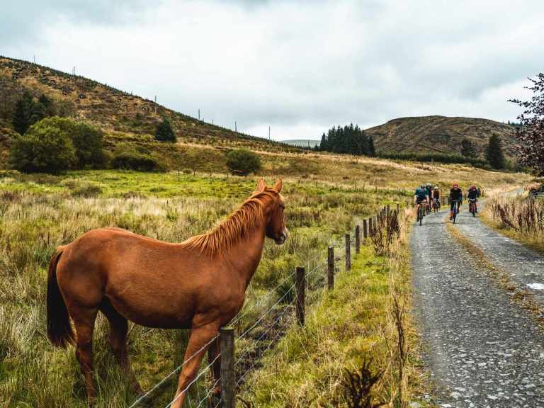 Frontier 300 – Will You Make Brunch on The Beach?