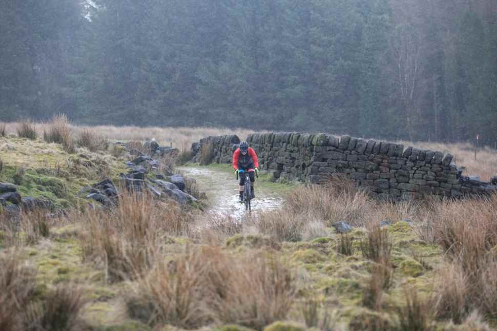 Pinnacle Arkose Alfine 8