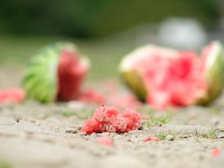 ‘If in doubt, sit them out’ – British Cycling publishes first concussion guidance