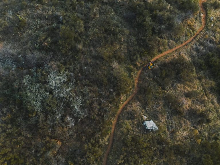 Kona: Exploring Creativity by Bike