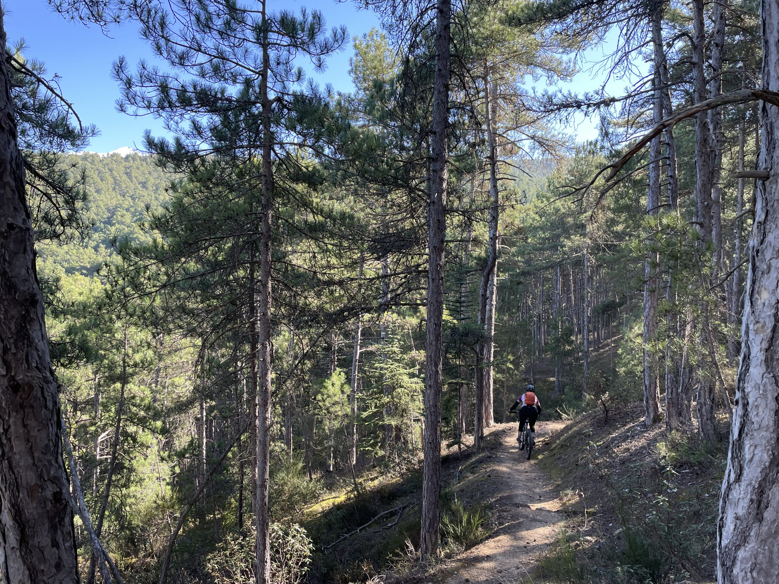 Issue 143 Editorial: Local Secrets