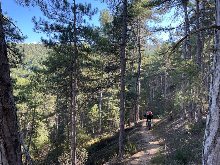 Issue 143 Editorial: Local Secrets