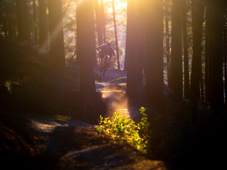 Mountain Bike Wall Art – Our latest cover print now available!