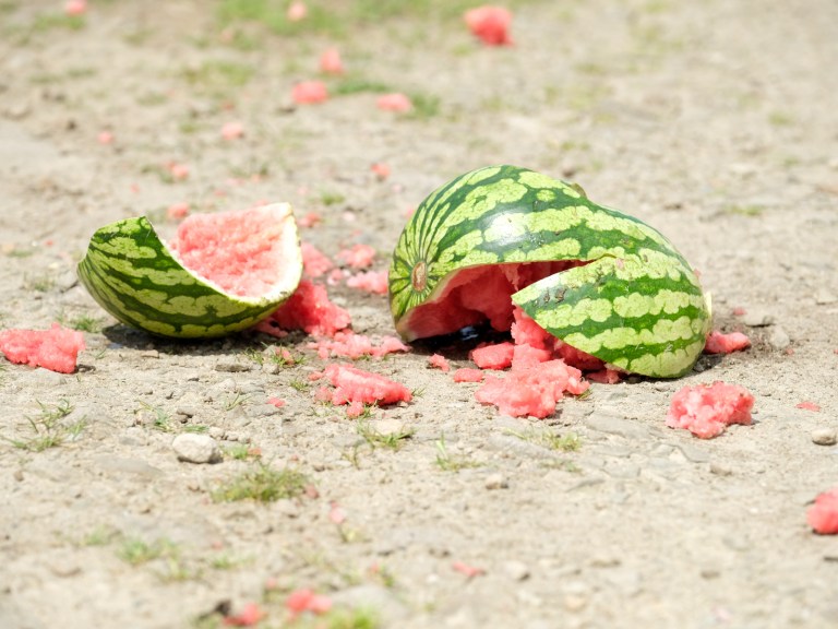 UK Government Issues Concussion Guidance For All Grassroots Sports