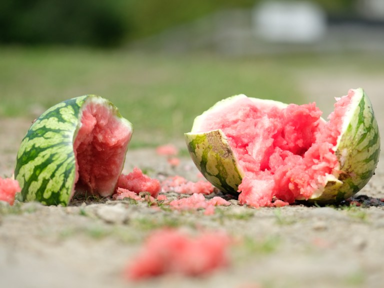 A Timely Reminder To Take Concussion Seriously