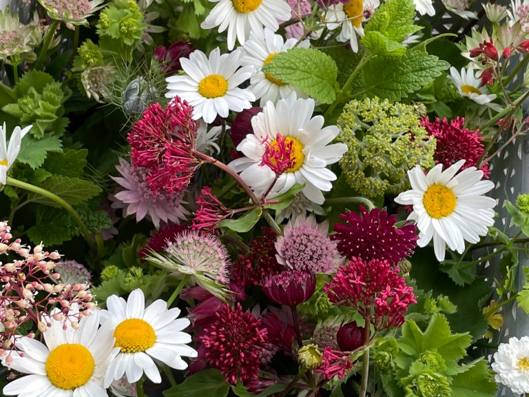 Fresh Goods Friday 605: The Highly Erratic Edition